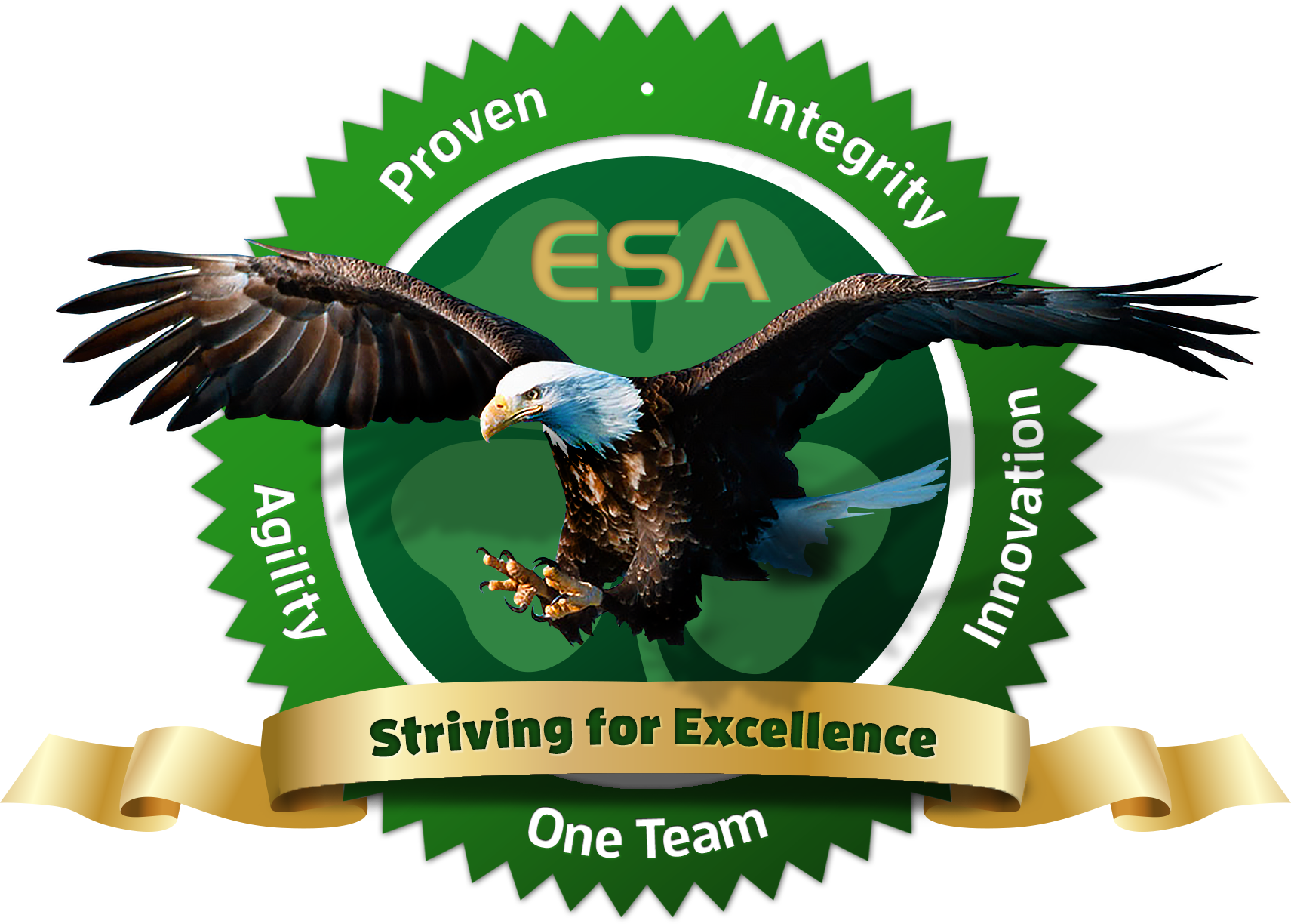 ESA JV Logo
